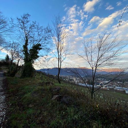 Apartamento Casa Pigano Appiano Sulla Strada Del Vino Exterior foto