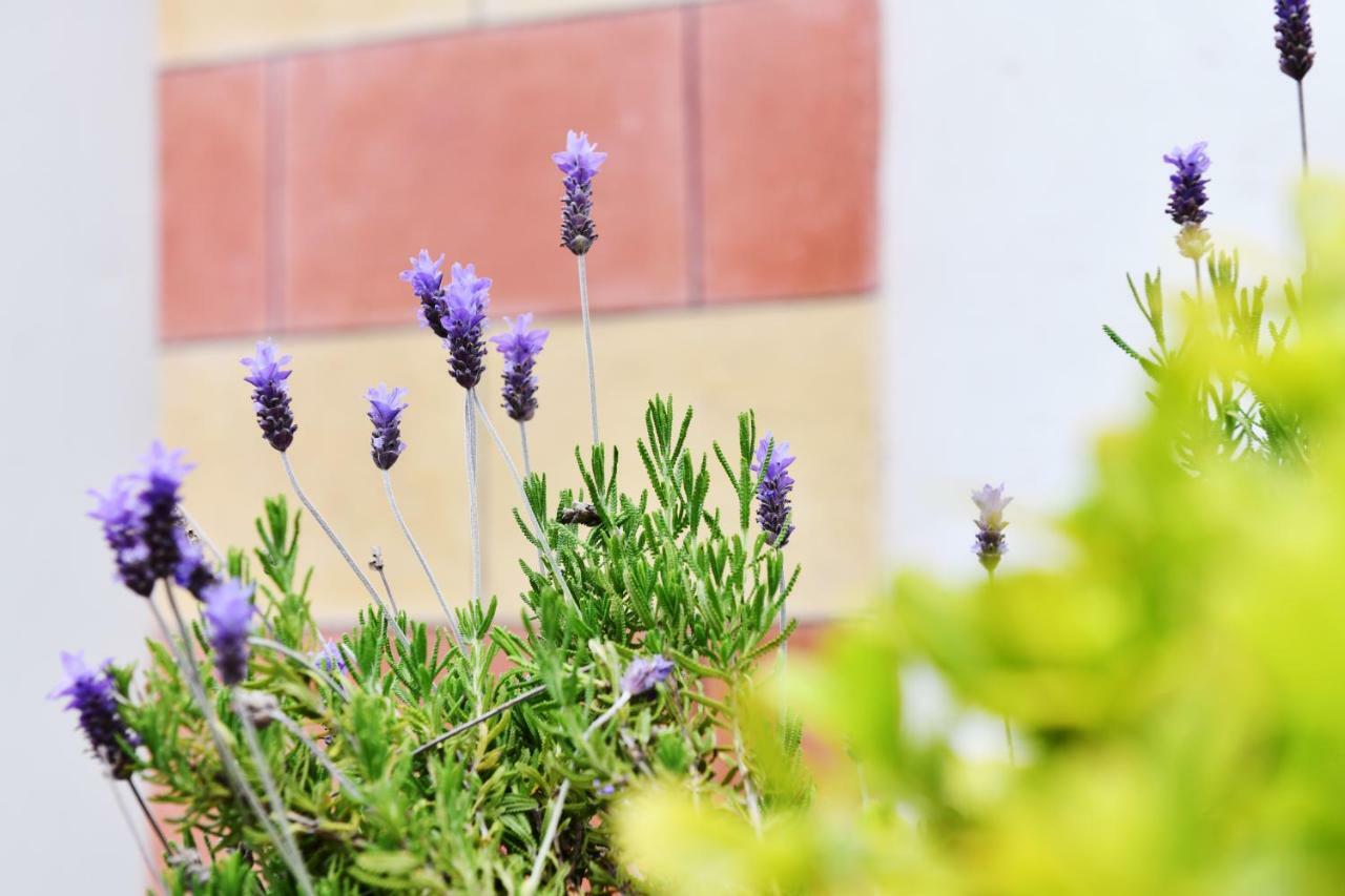 Apartamento Casa Pigano Appiano Sulla Strada Del Vino Exterior foto
